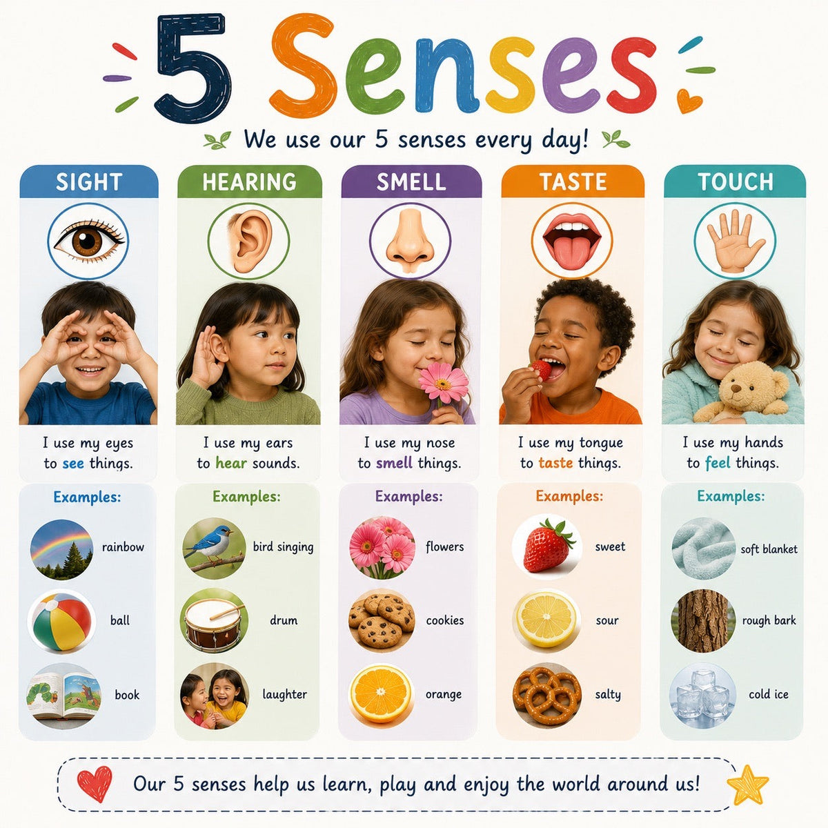 Five Senses