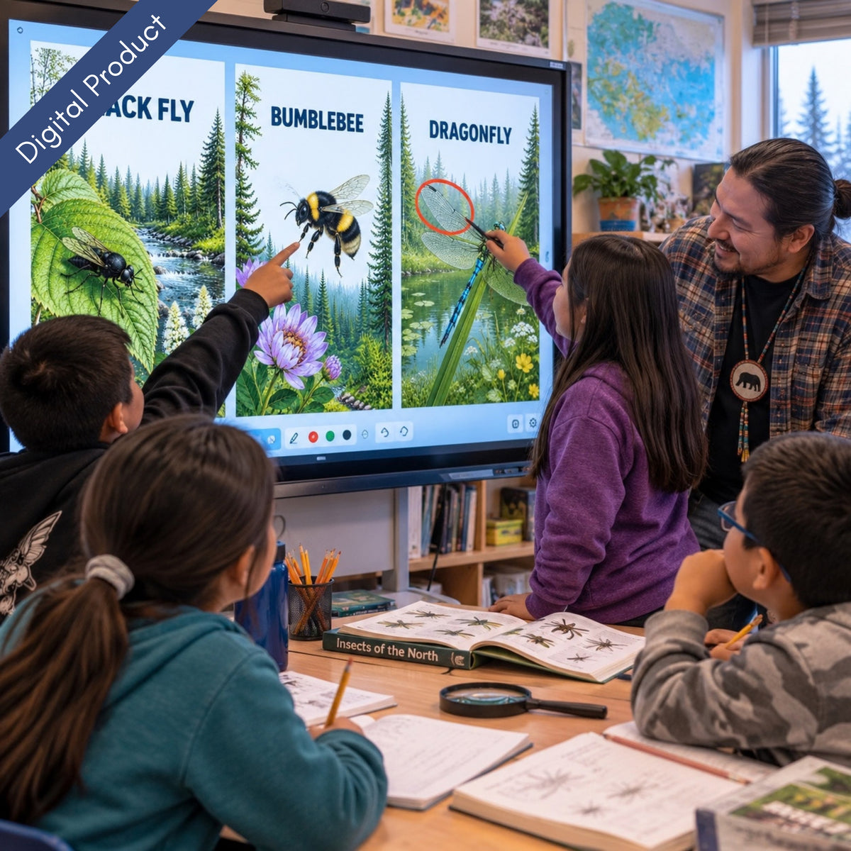 Canada's Northern Forest Insects Picture Cards - Digital Collection