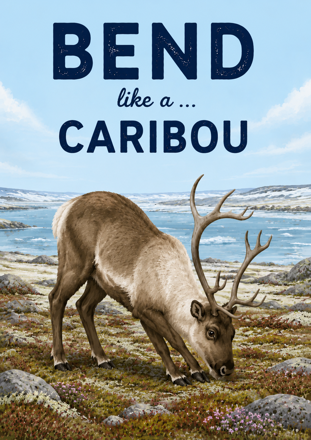 Arctic Tundra Movement Cards