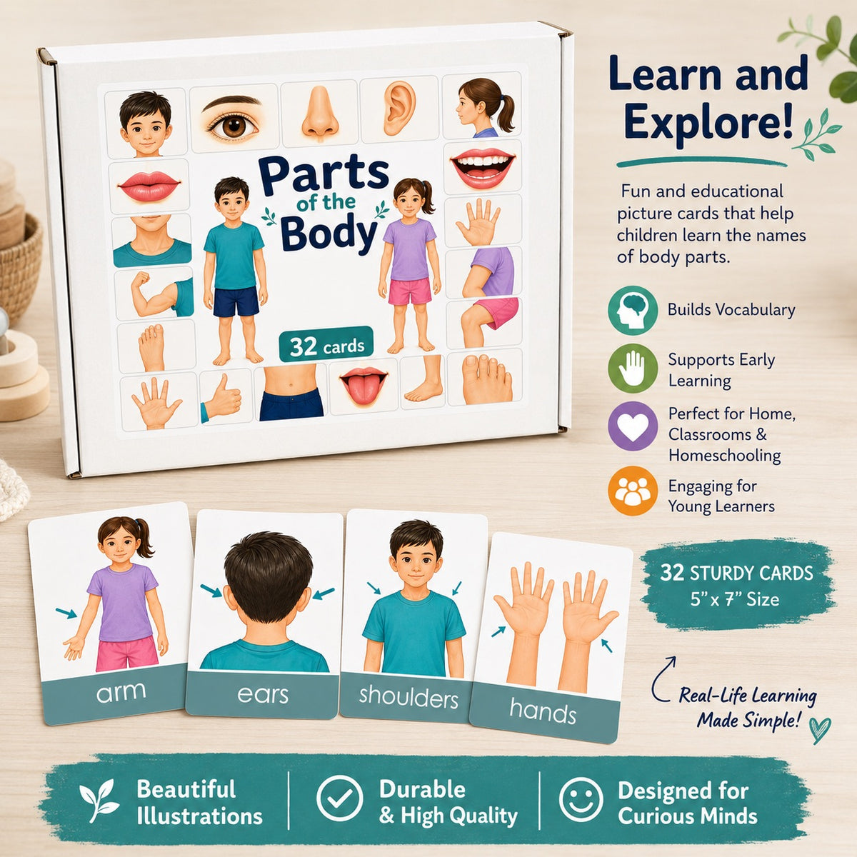 Parts of the Body Picture Cards