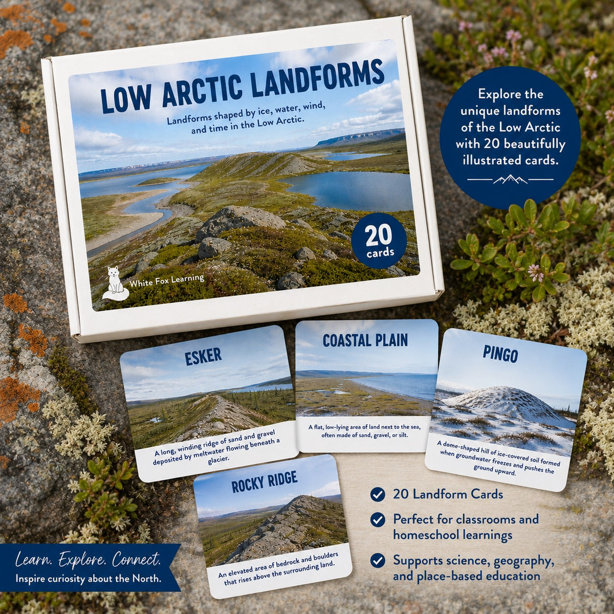Low Arctic Landforms Picture Cards
