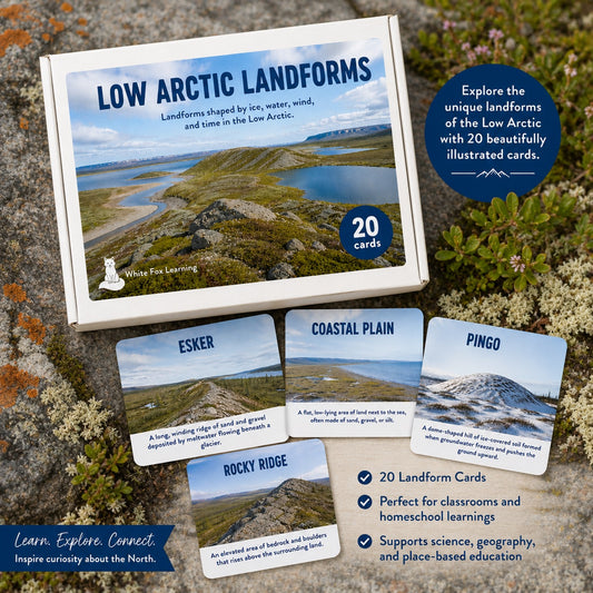 Low Arctic Landforms Picture Cards