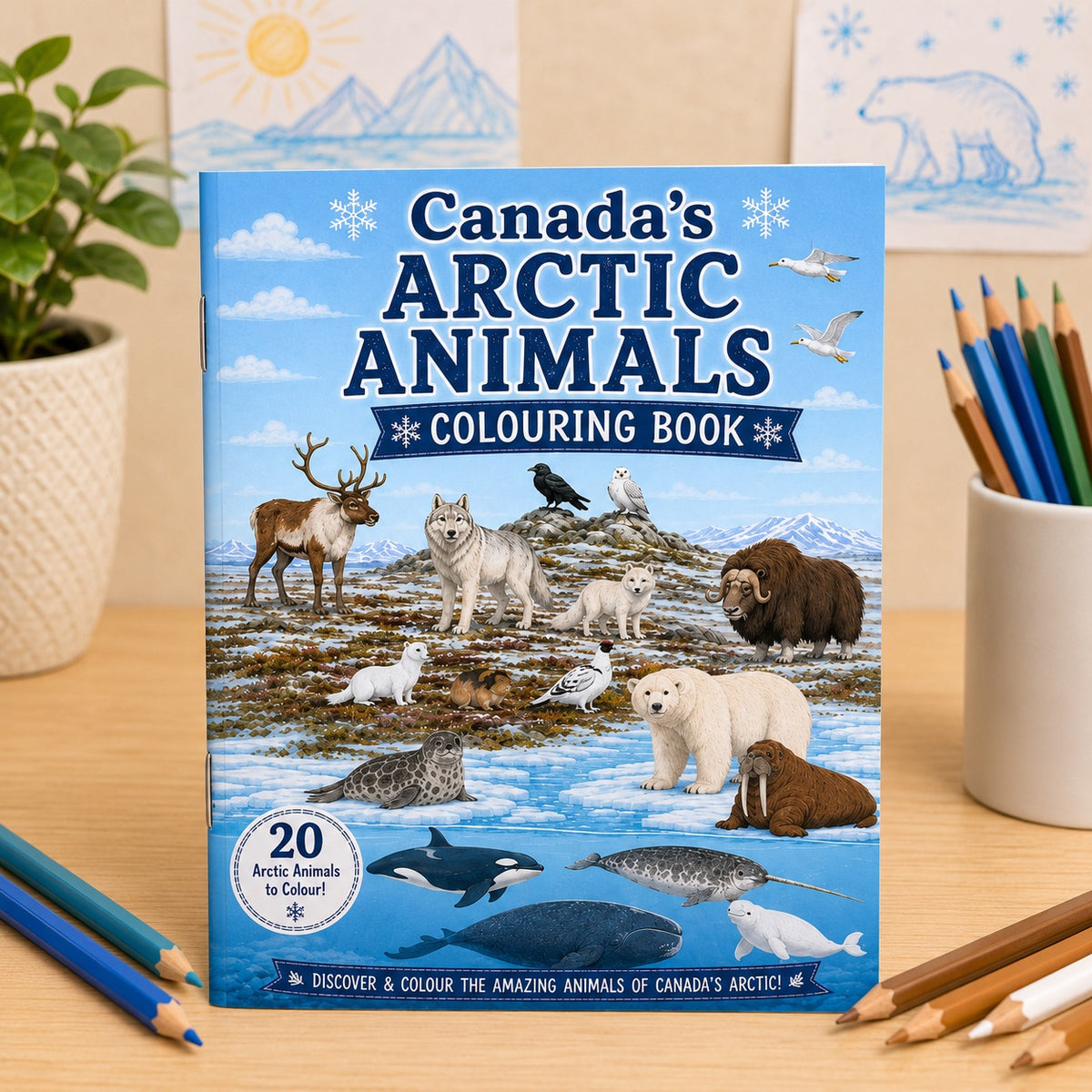Canada's Arctic Animal Colouring Book