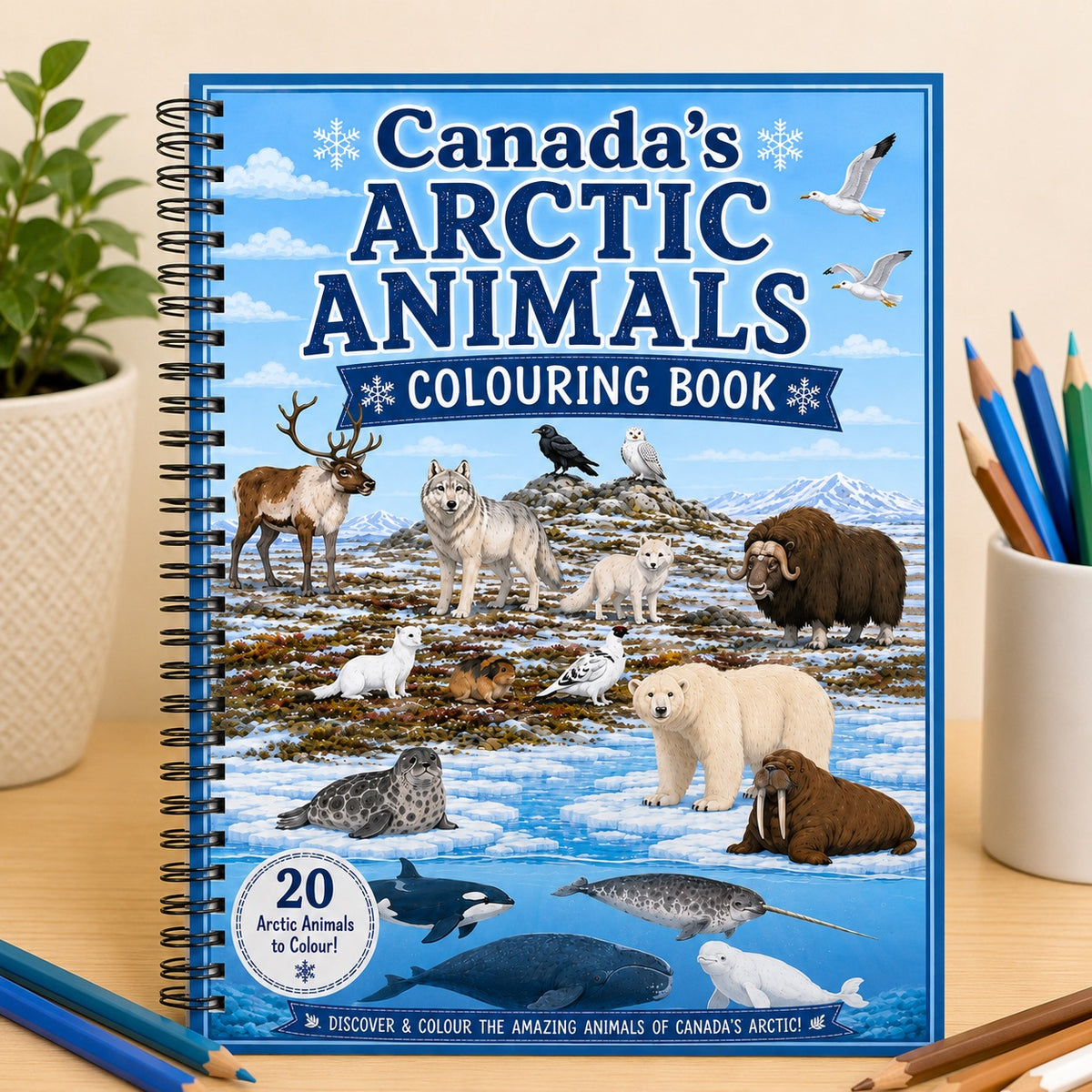 Canada's Arctic Animal Colouring Book