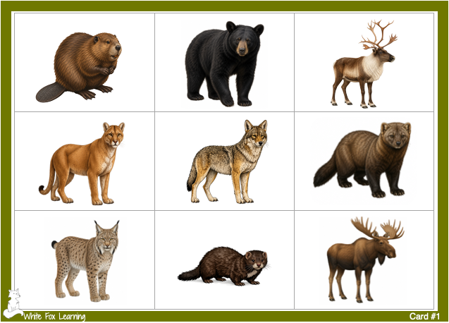 Canada's Northern Forest Animal Bingo