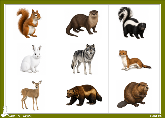 Canada's Northern Forest Animal Bingo