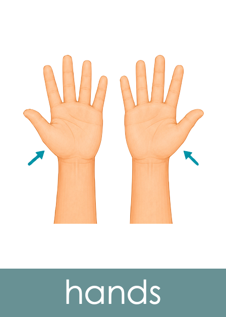 Parts of the Body Picture Cards