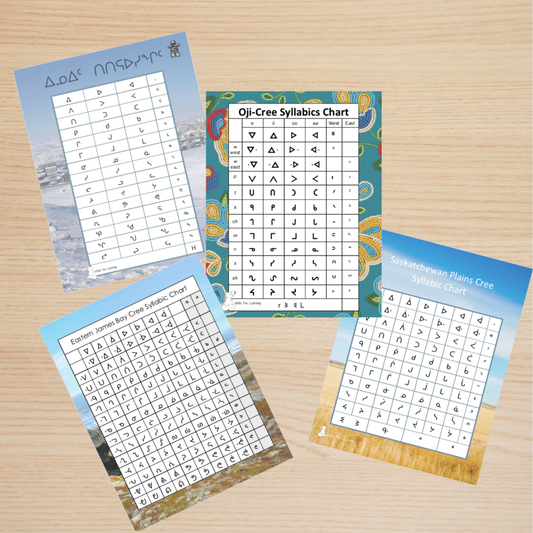 Custom Syllabic Chart Cards
