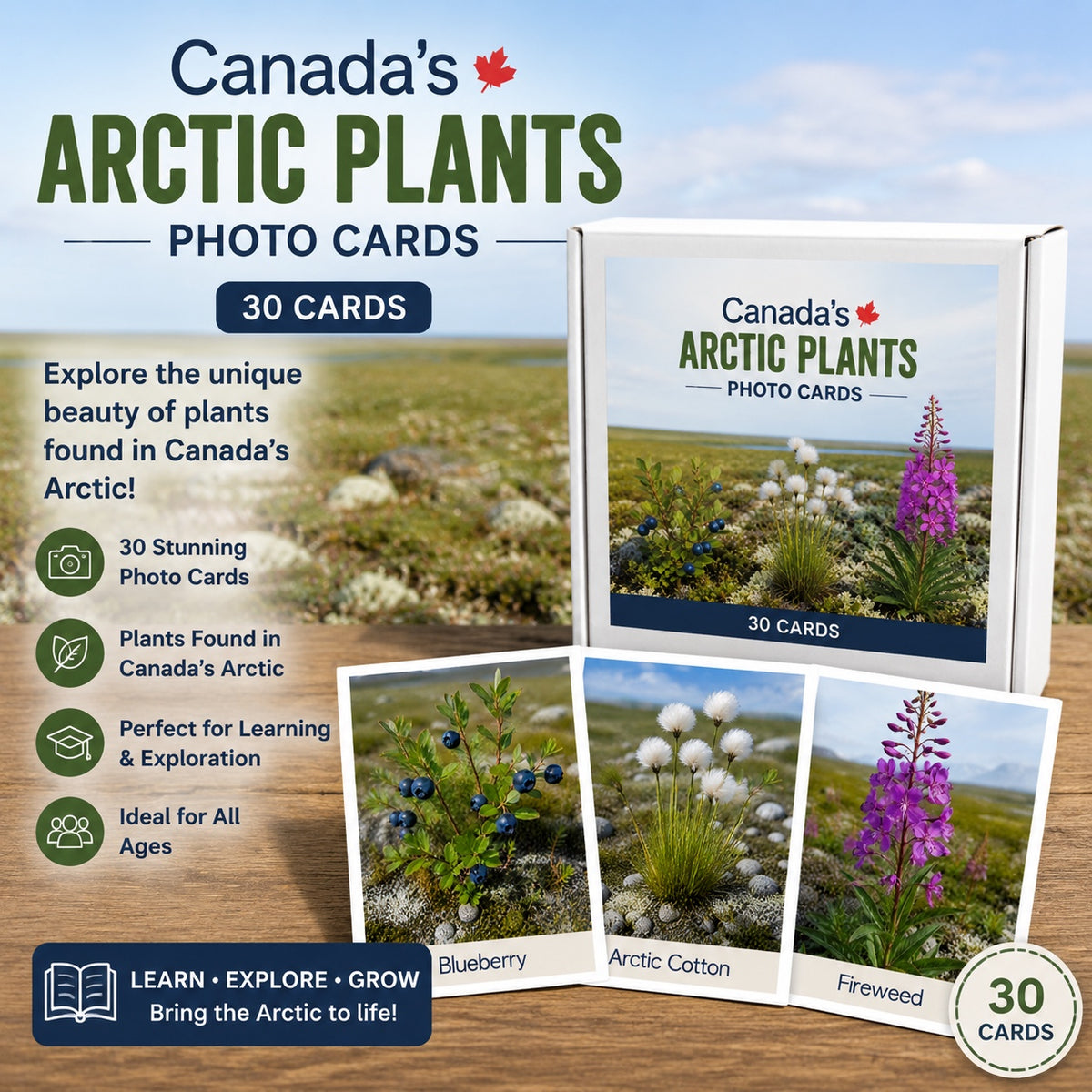 Canada's Arctic Plants Photo Cards