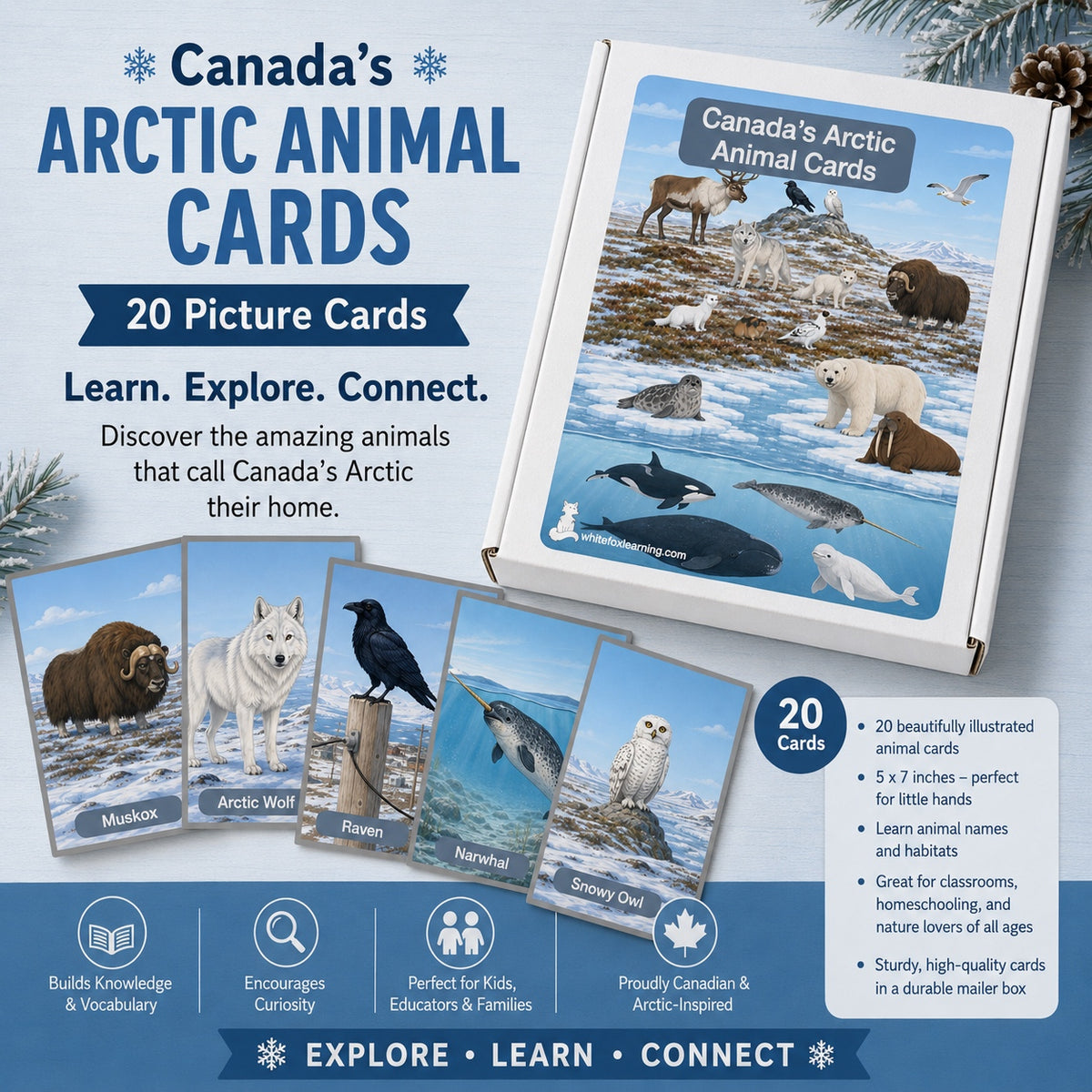 Canada's Arctic Animal Cards