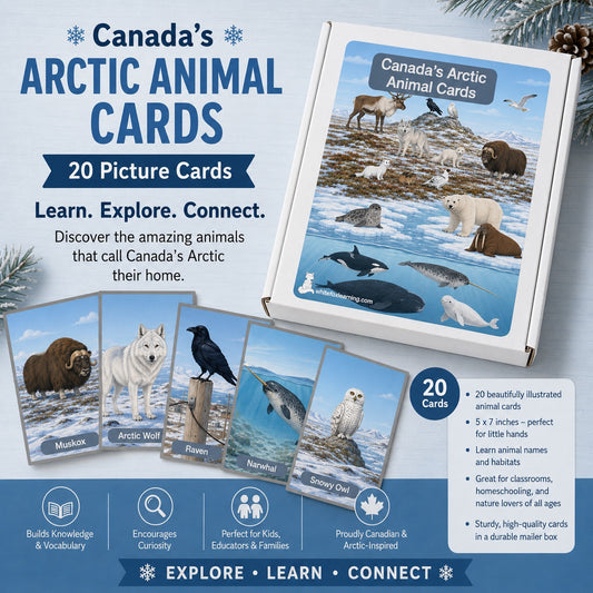 Canada's Arctic Animal Cards