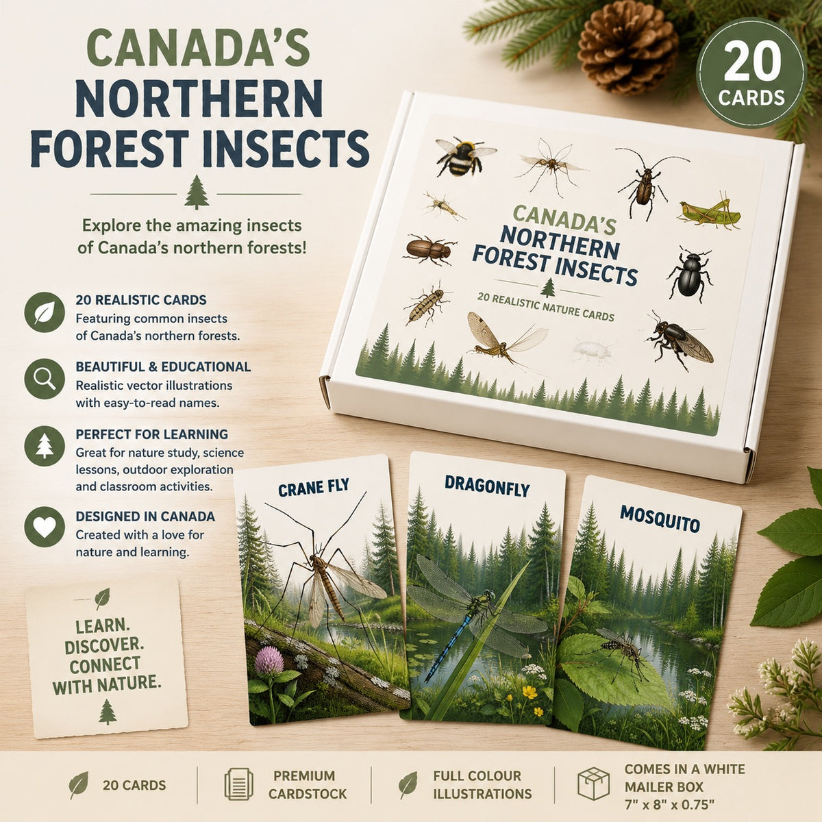 Canada's Northern Forest Insects Picture Cards