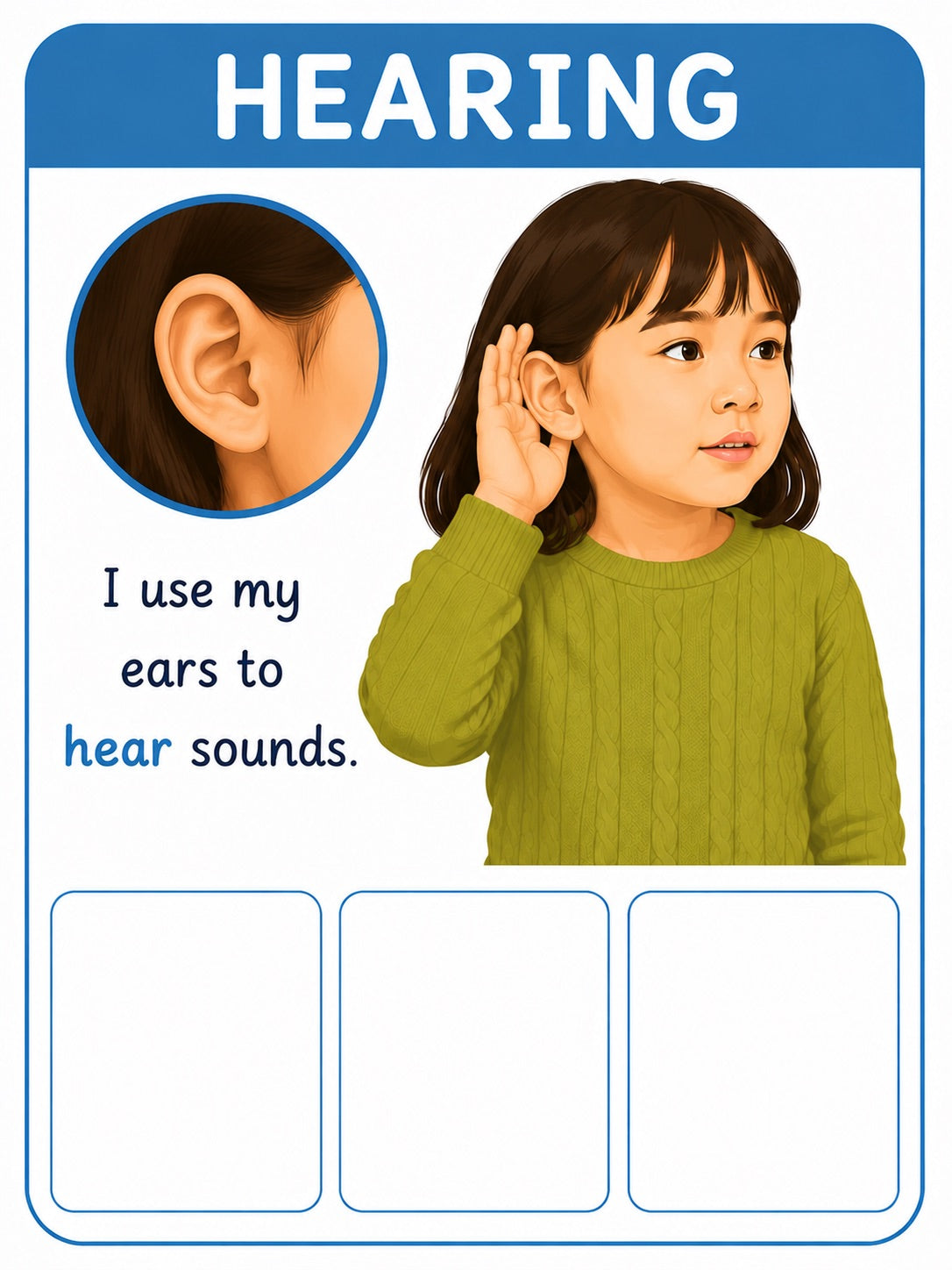 Five Senses Sorting Cards