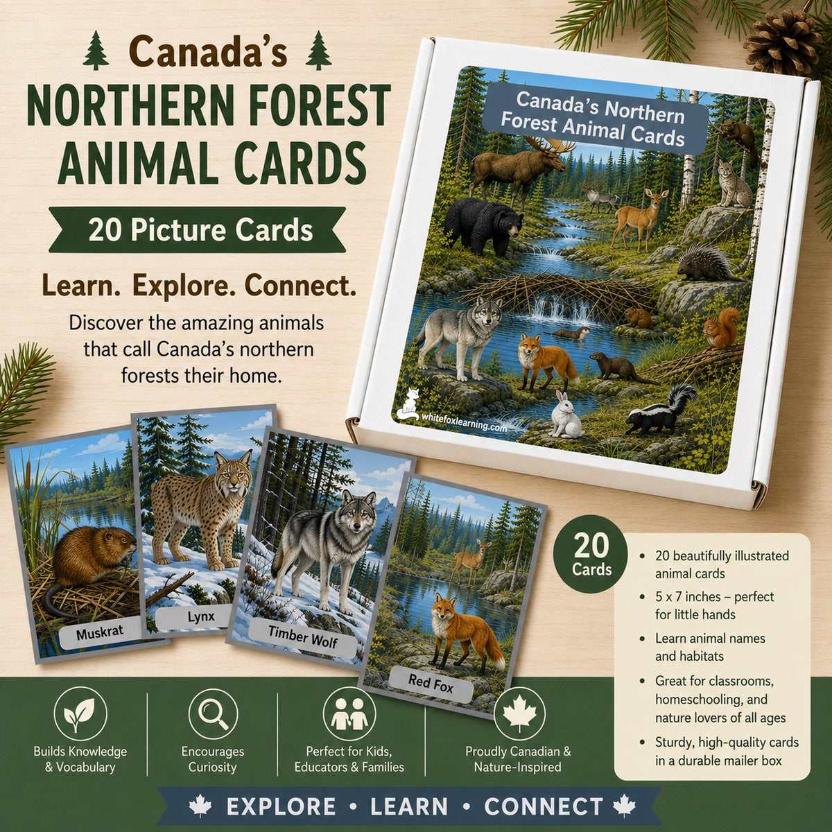Canada's Northern Forest Animal Cards