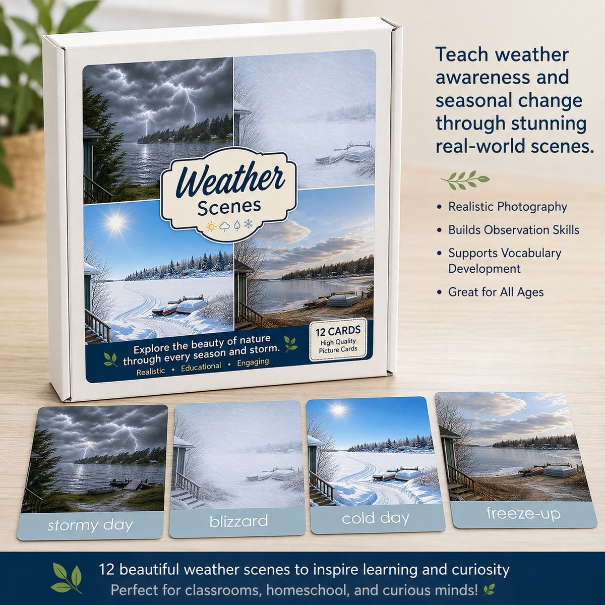 Weather Scenes Picture Cards