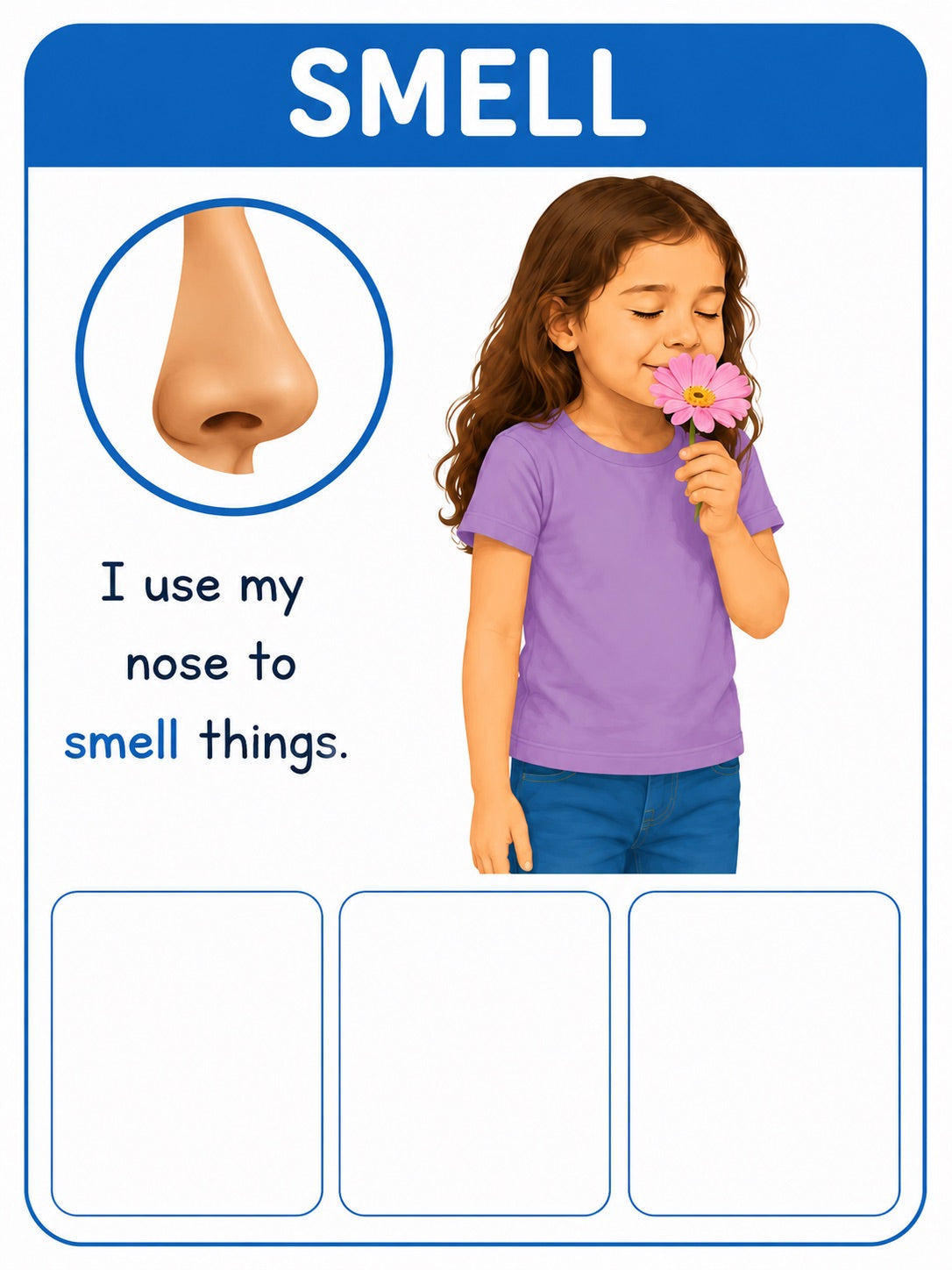 Five Senses Sorting Cards