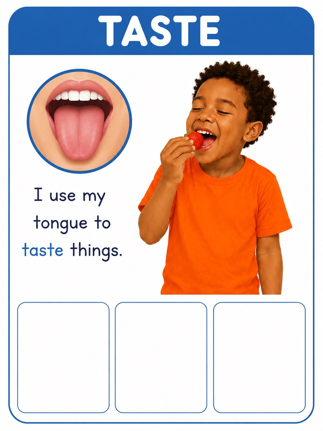 Five Senses Sorting Cards