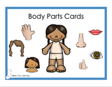 Body Parts Cards - Digital Product