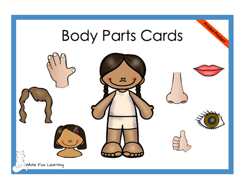 Body Parts Cards - Printed Product