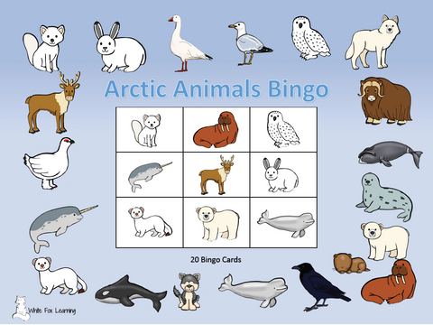Arctic Animal Bingo - Digital Product