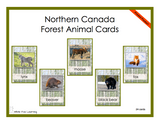 Northern Canada Forest Animals Cards - Printed Product