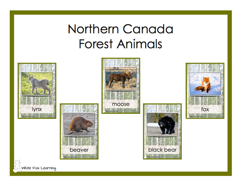 Northern Canada Forest Animals Cards - Digital Product