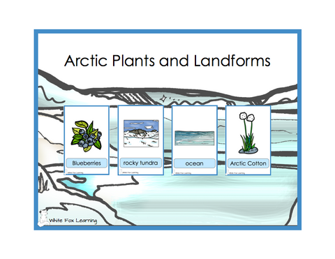 Arctic Plants and Landforms Cards - Digital Product