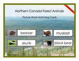Northern Canada Forest Animals Picture-Word Matching Cards - Printed Product