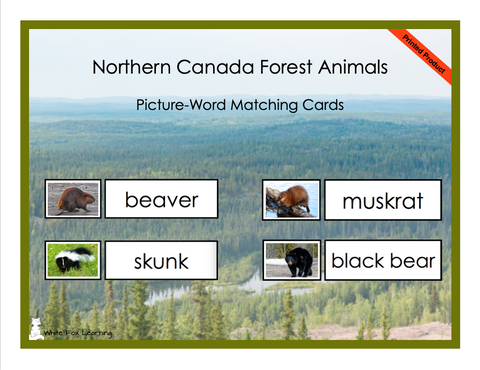 Northern Canada Forest Animals Picture-Word Matching Cards - Printed Product