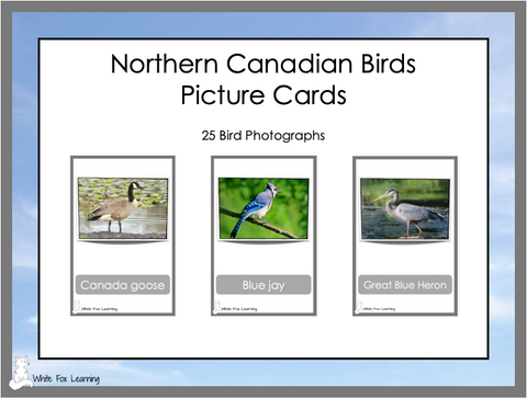 Northern Canadian Birds Cards - Digital Product