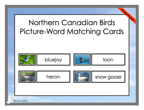 Northern Canadian Birds Picture-Word Matching Cards - Printed Product