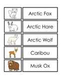 Arctic Animals Matching Cards - Printed Product