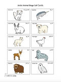 Arctic Animal Bingo - Printed Product